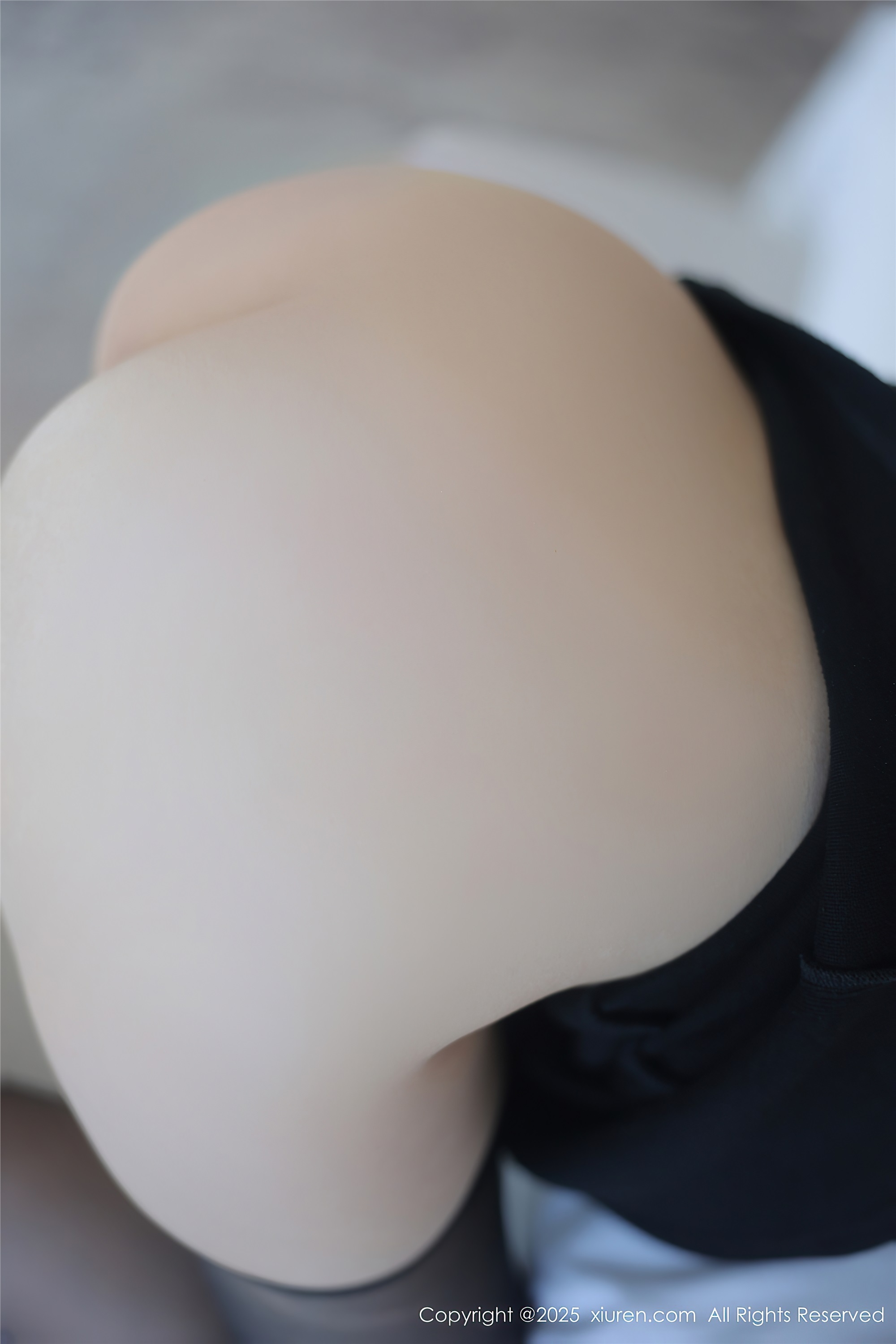 Xiuren秀人网 2025.03.26 NO.10070 玉晨